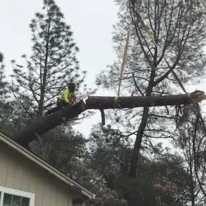 Meet your Posher, Dave